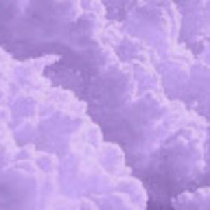 Meet your Posher, Ashlynn